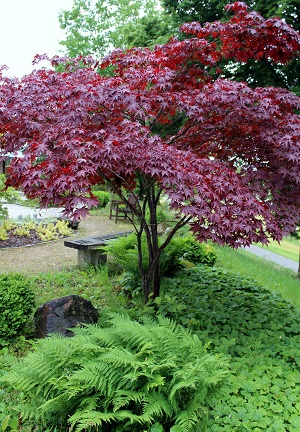 Japanischer Garten der Erinnerung 02